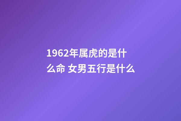 1962年属虎的是什么命 女男五行是什么